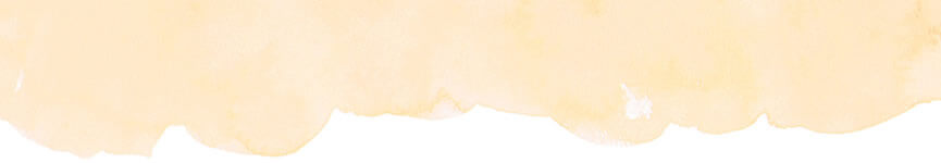 Zoi Bkg Orange Cream 865X150
