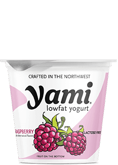 Products Yami Lowfat 6Oz